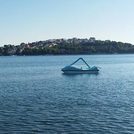 Lity Gray * Podglavica