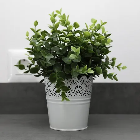 Lity Gray Διαμέρισμα