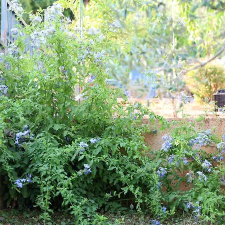 Apartmán Lity Gray Podglavica