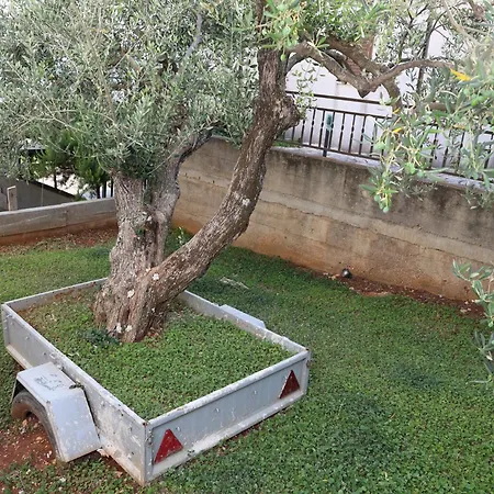 Lity Gray Podglavica