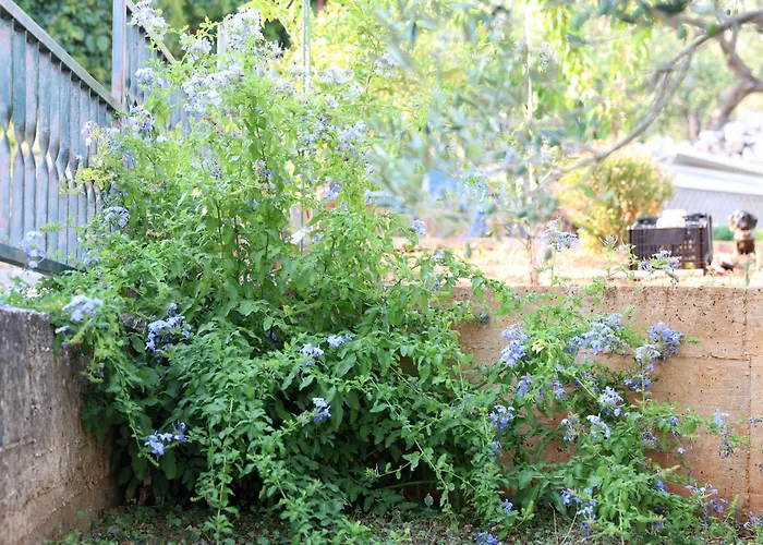 דירה Lity Gray Podglavica