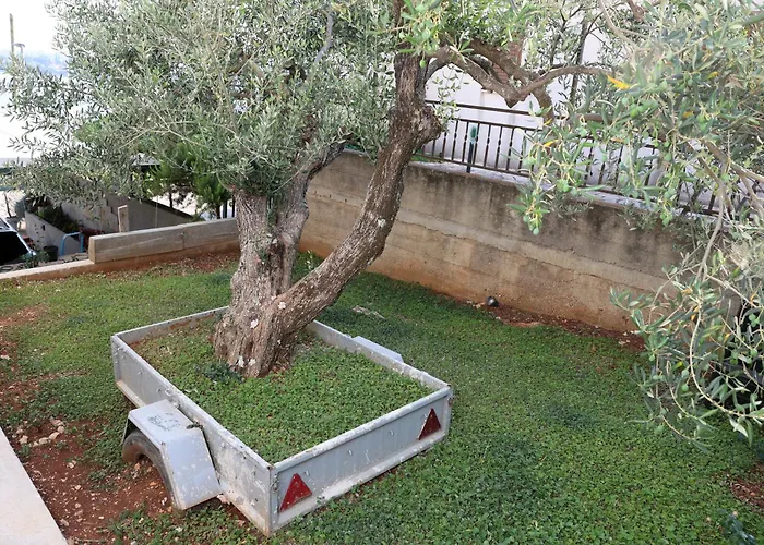 Lity Gray Podglavica